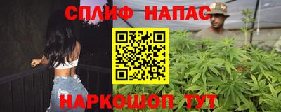 гидропоника Славгород